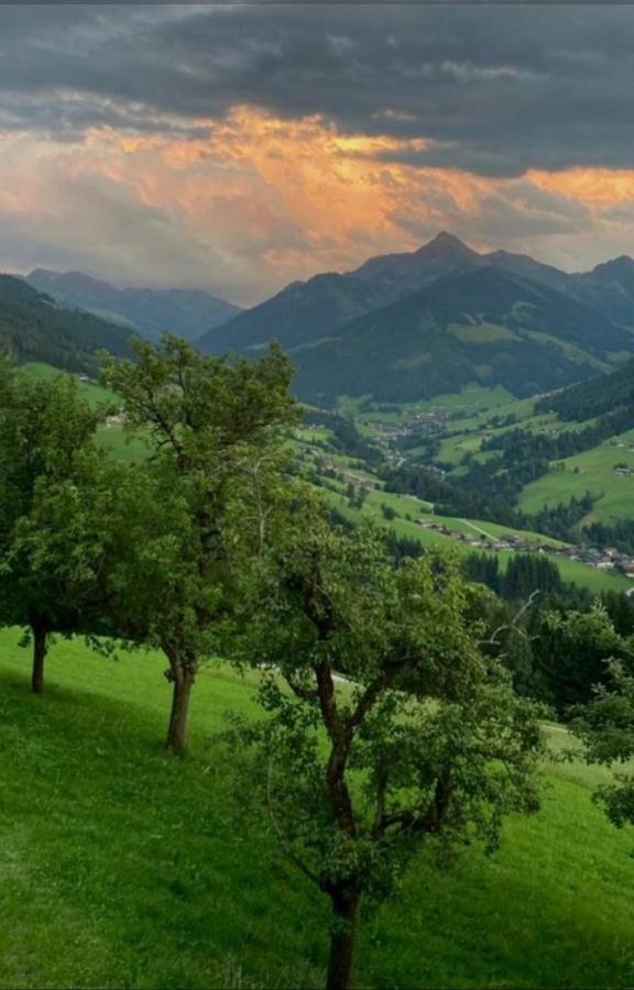 Haus Raimund " Klein Aber Fein " Leilighet Alpbach Eksteriør bilde