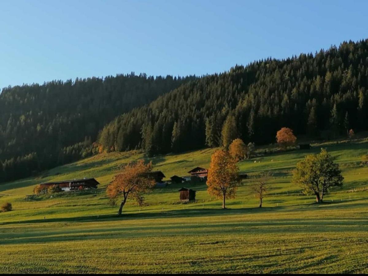 Haus Raimund " Klein Aber Fein " Leilighet Alpbach Eksteriør bilde