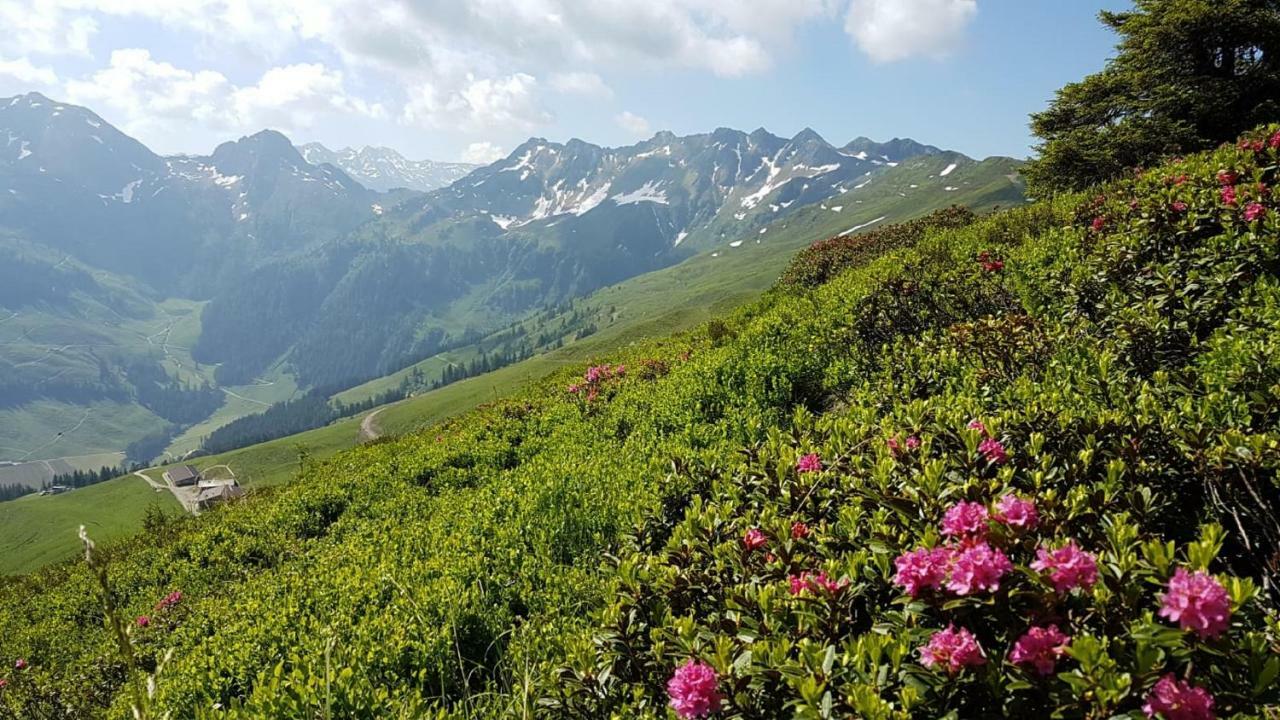 Haus Raimund " Klein Aber Fein " Leilighet Alpbach Eksteriør bilde