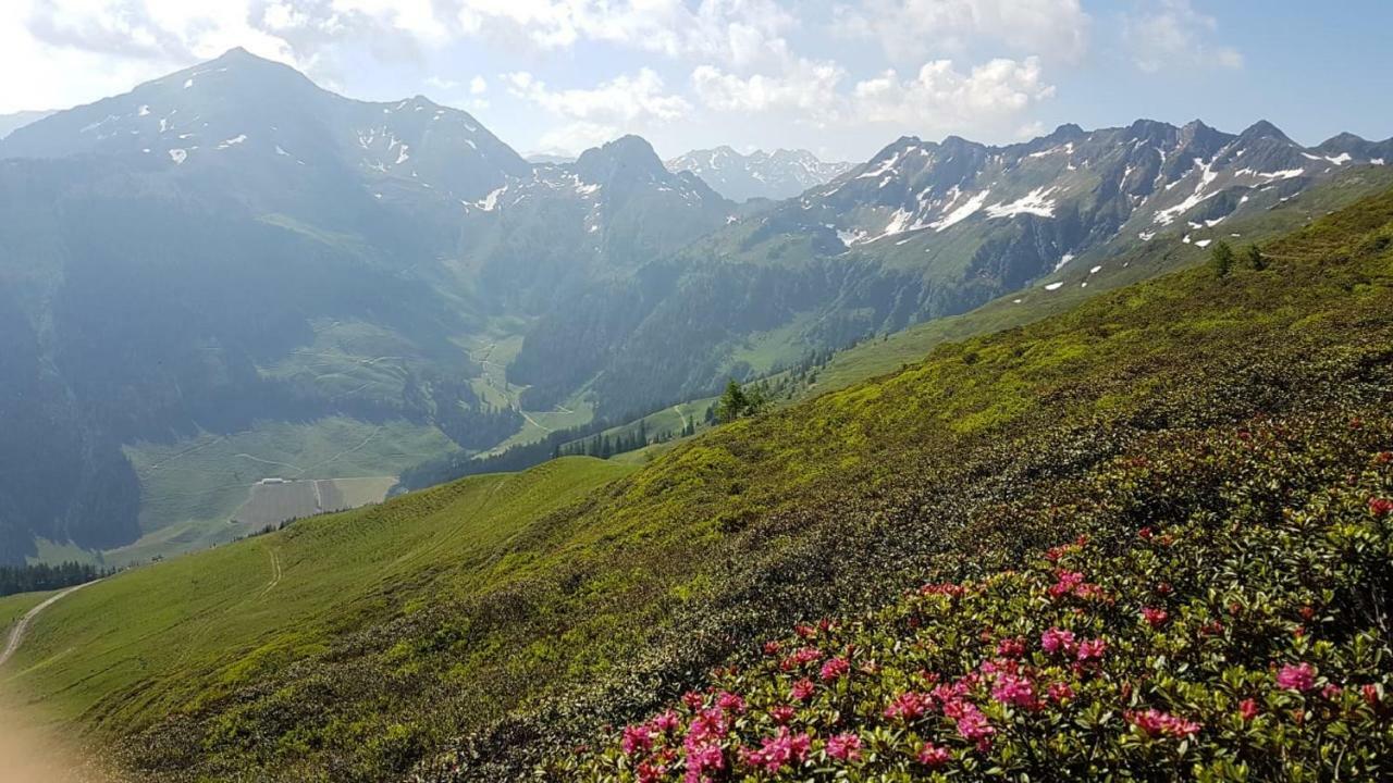 Haus Raimund " Klein Aber Fein " Leilighet Alpbach Eksteriør bilde